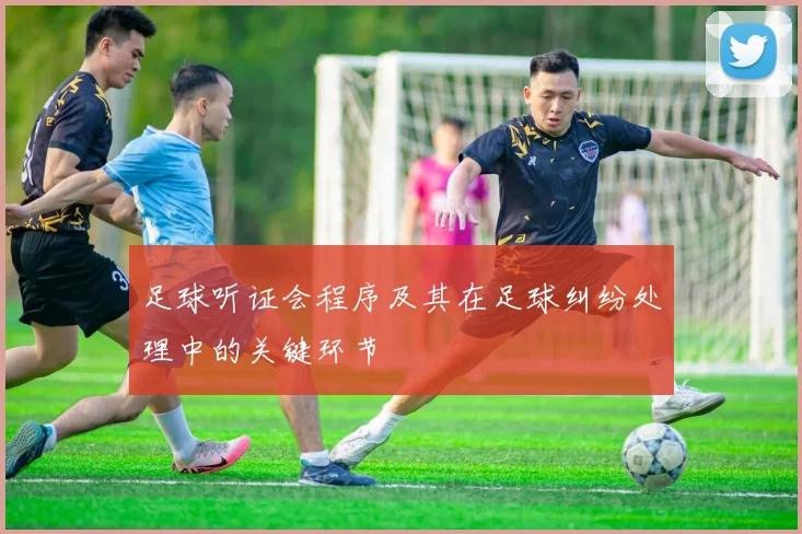 足球听证会程序及其在足球纠纷处理中的关键环节