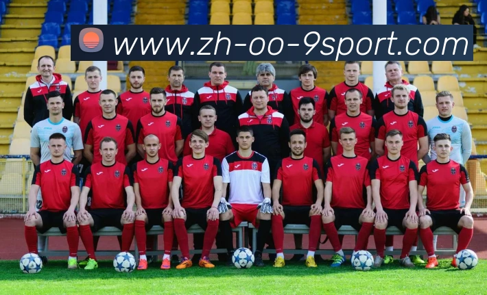 J9九游APP 封面图